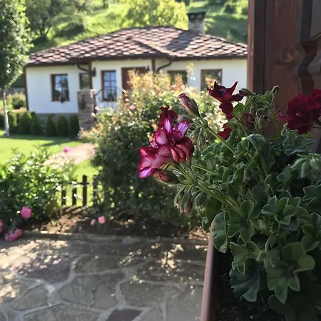 Bozhilovo * Zasele